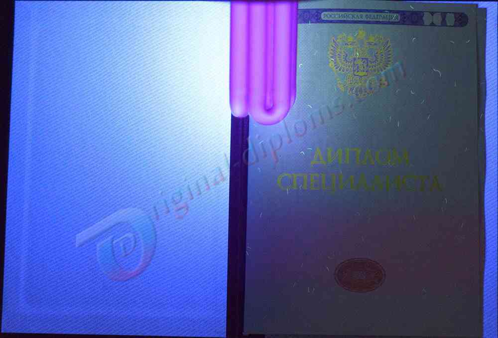 КРАСНЫЙ диплом специалиста (С ОТЛИЧИЕМ) 2014-2026